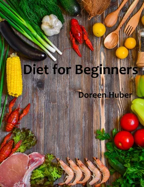 Doreen Huber Diet for Beginners обложка книги