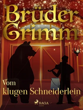 Brüder Grimm Vom klugen Schneiderlein обложка книги