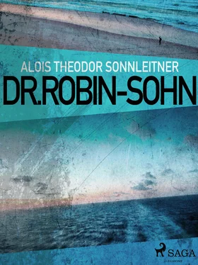Alois Theodor Sonnleitner Dr. Robin-Sohn обложка книги