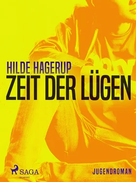 Hilde Hagerup Zeit der Lügen обложка книги