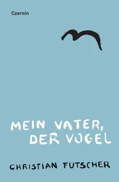 Christian Futscher Mein Vater, der Vogel обложка книги