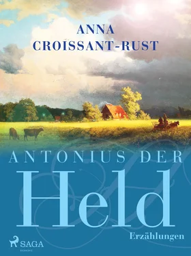 Anna Croissant-Rust Antonius der Held обложка книги