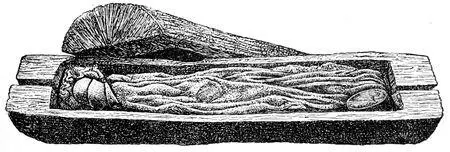 Fig 37Oak coffin with skeleton body covered with a woollen cloak Treenhöi - фото 38