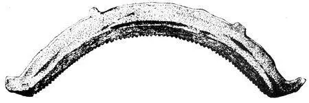 Fig 140Saw of bronze ½ real sizeDenmark Fig 141Bronze ring Real - фото 141