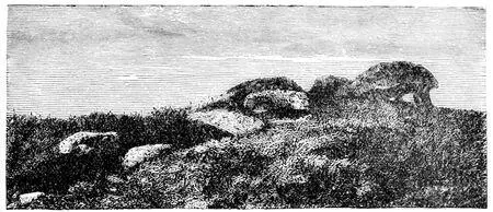 Fig 9Side view of passage grave near Karleby Fig 10Groundplan of - фото 10