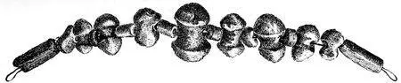 Fig 17Amberbeads forming a necklace found in the grave with the clay urn - фото 18