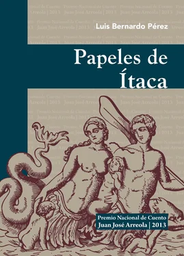 Bernardo Pérez Puente Papeles de Ítaca обложка книги