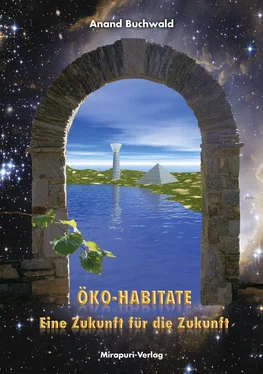Anand Buchwald Öko-Habitate – Eine Zukunft für die Zukunft обложка книги