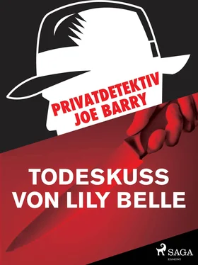 Joe Barry Privatdetektiv Joe Barry - Todeskuss von Lily Belle обложка книги