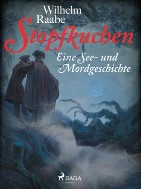 Wilhelm Raabe Stopfkuchen. Eine See- und Mordgeschichte обложка книги