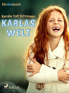 Renée Toft Simonsen Karlas Welt обложка книги