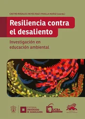 Francisco Javier Reyes Ruiz - Resiliencia contra el desaliento