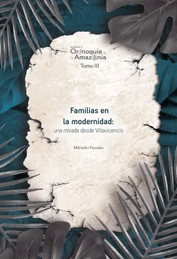 Milcíades Vizcaíno Gutiérrez Familias en la modernidad: una mirada desde Villavicencio обложка книги
