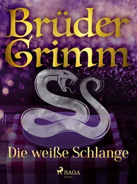 Brüder Grimm Die weiße Schlange обложка книги