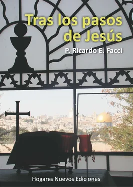 Ricardo E. Facci Tras los pasos de Jesús обложка книги