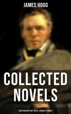 James Hogg James Hogg: Collected Novels, Scottish Mystery Tales & Fantasy Stories обложка книги