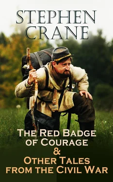 Stephen Crane The Red Badge of Courage & Other Tales from the Civil War обложка книги