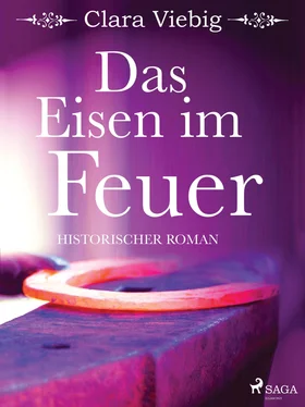 Clara Viebig Das Eisen im Feuer обложка книги