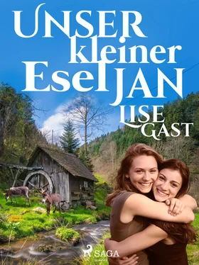 Lise Gast Unser kleiner Esel Jan обложка книги