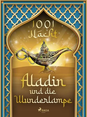 Märchen aus 1001 Nacht Aladin und die Wunderlampe обложка книги