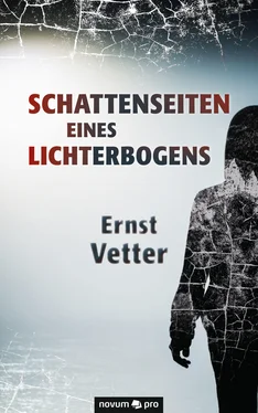 Ernst Vetter Schattenseiten eines Lichterbogens обложка книги