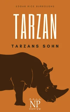 Edgar Burroughs Tarzan – Band 4 – Tarzans Sohn обложка книги