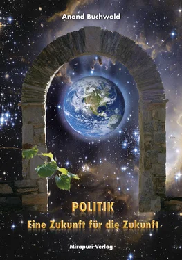 Anand Buchwald Politik – Eine Zukunft für die Zukunft обложка книги