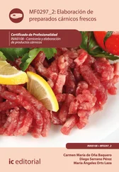 Carmen María de Oña Baquero - Elaboración de preparados cárnicos frescos. MF0297_2