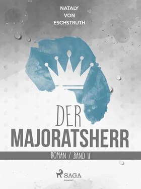 Nataly von Eschstruth Der Majoratsherr. Band II. обложка книги