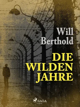 Will Berthold Die wilden Jahre обложка книги