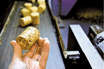 El tapón de corcho en contacto con el vino 5Riesgos más frecuentes en el - фото 38