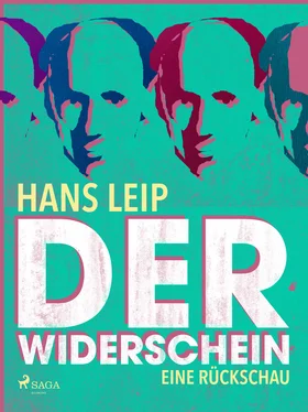 Hans Leip Der Widerschein обложка книги