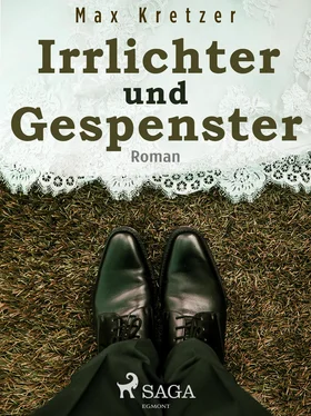 Max Kretzer Irrlichter und Gespenster обложка книги