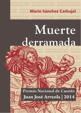 Mario Alberto Sánchez Carbajal Muerte derramada обложка книги