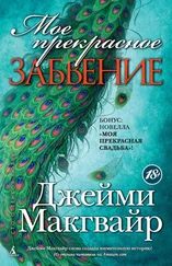 Джейми Макгвайр - Мое прекрасное забвение. Моя прекрасная свадьба (сборник)