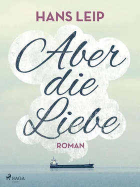 Hans Leip Aber die Liebe обложка книги