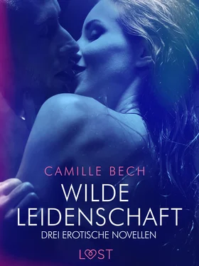 Camille Bech Wilde Leidenschaft – Drei erotische Novellen обложка книги