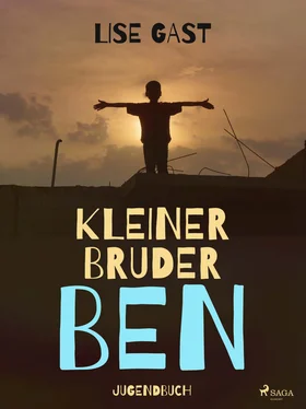 Lise Gast Kleiner Bruder Ben обложка книги