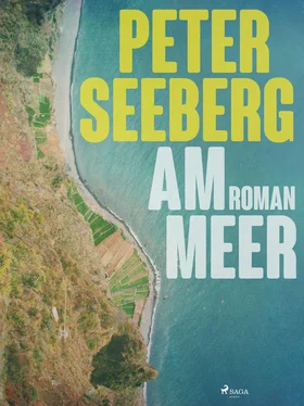 Peter Seeberg Am Meer обложка книги