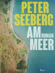 Peter Seeberg - Am Meer