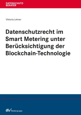 Viktoria Lehner Datenschutzrecht im Smart Metering unter Berücksichtigung der Blockchain-Technologie обложка книги