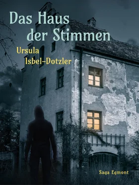 Ursula Isbel-Dotzler Das Haus der Stimmen обложка книги