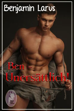 Benjamin Larus Ben - Unersättlich! (Erotik, gay, bi) обложка книги