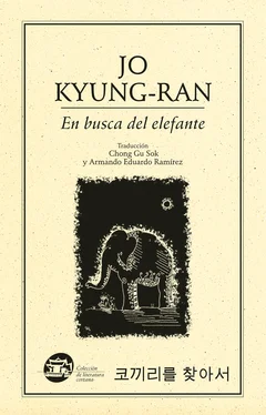 Kyung-ran Jo En busca del elefante обложка книги