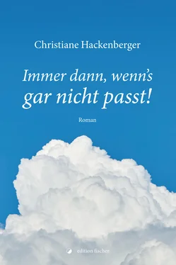 Christiane Hackenberger Immer dann, wenn's gar nicht passt! обложка книги