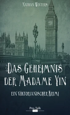 Nathan Winters Das Geheimnis der Madame Yin обложка книги