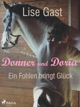 Lise Gast Ein Fohlen bring Glück обложка книги