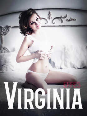 Effes Virginia обложка книги