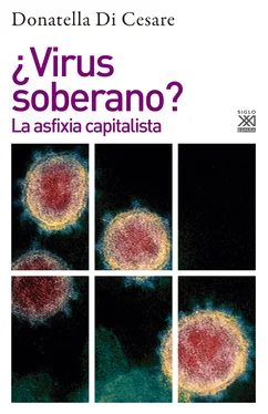 Donatella Di Cesare ¿Virus soberano? обложка книги