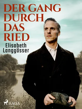 Elisabeth Langgässer Der Gang durch das Ried обложка книги